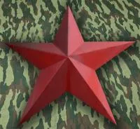 Красная звезда нержавеющая сталь эмаль в Зиме (518419)