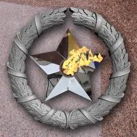 Венок вечный огонь чугун звезда нержавеющая сталь в Зиме (518577)